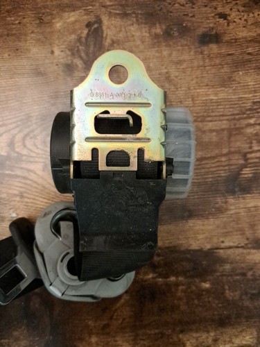 Mark golf seatbelt - mark, rear