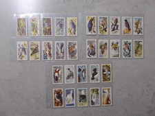 Brooke Bond P.G. Tips, Bird