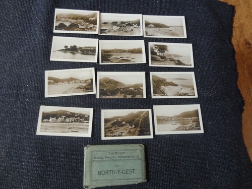 Snapshots borth gest - snapshots, y
