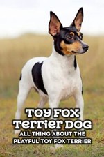 Toy Fox Terrier Dog: All Thing about The Playful Toy Fox Terrier: Toy Fox ...