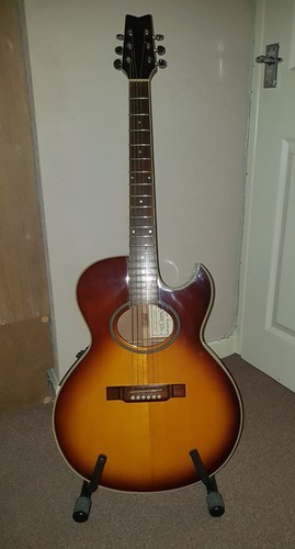 Washburn festival ea20 electro - washburn,