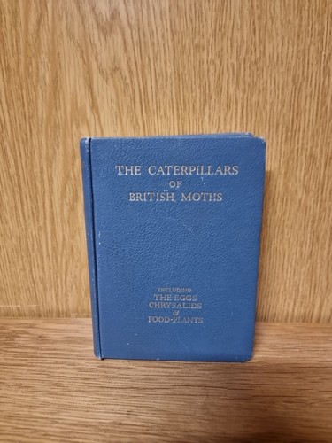 The caterpillars british - the,