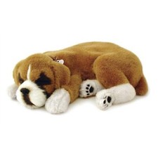 Precious Petzzz - Breathing