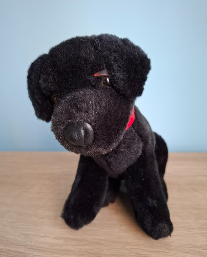Sitting black labrador - labrador, puppy