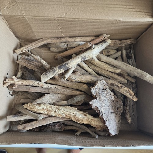 Driftwood pieces art - driftwood,