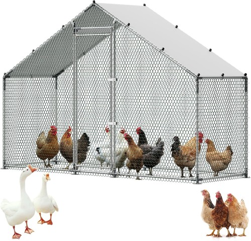 Large outdoor chicken coop - chicken,