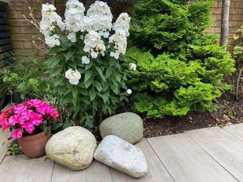 Large natural pond boulders - natural,