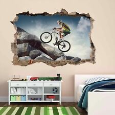 Mountain Biking Wall Art