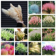 About 100pcs/pack Ornamental