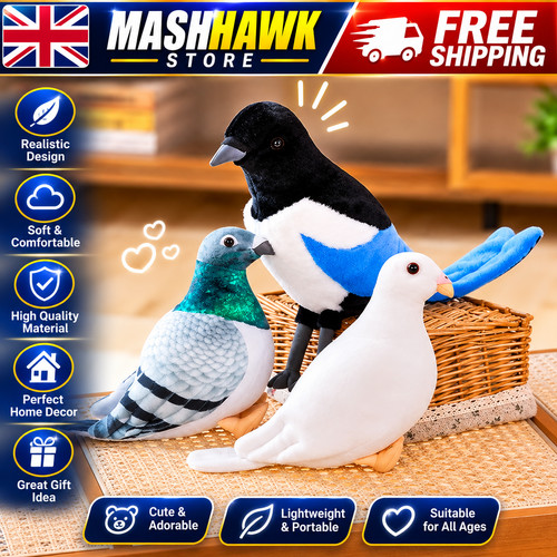 Simulation pigeon bird - simulation, soft