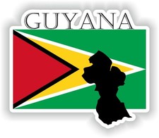 Guyana Country Project Flag