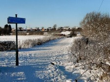 Photo 6x4 Track to Bolton Road