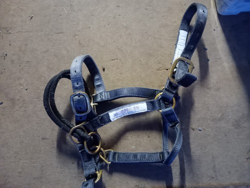 Monty roberts medium dually - roberts,