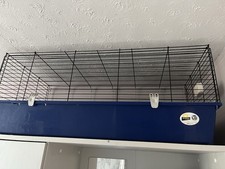 Guinea Pig Cage