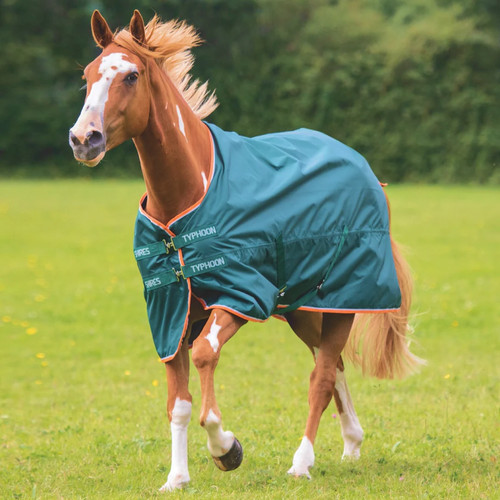 Shires typhoon lite turnout - typhoon,