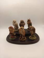 Royal Doulton Collectors Set of Owls on Wooden Stand