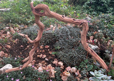 Manzanita Driftwood Branch 24" Aquascaping Home Decor Terrarium Reptile