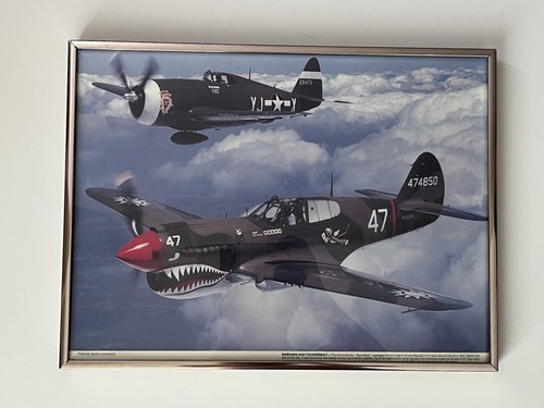 Military aircraft warhawk - aircraft,