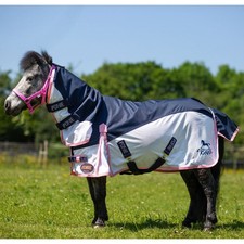 Gallop Equestrian Ponie