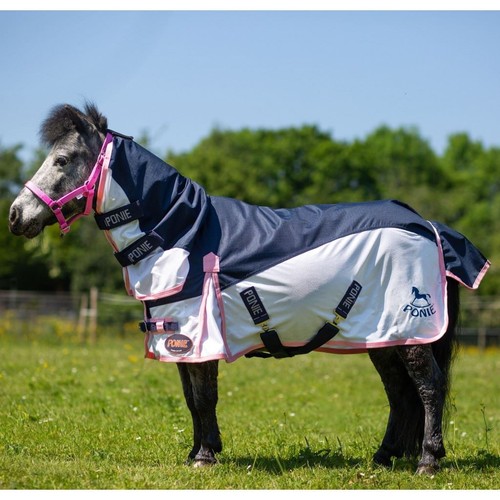 Gallop equestrian ponie - equestrian,