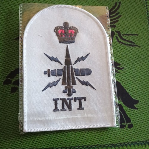 Petty officer intelligence - petty,