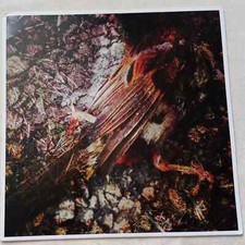 Thirty Pounds Of Bone - The