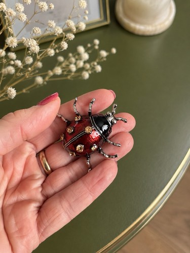 New ladybird brooch - new, –