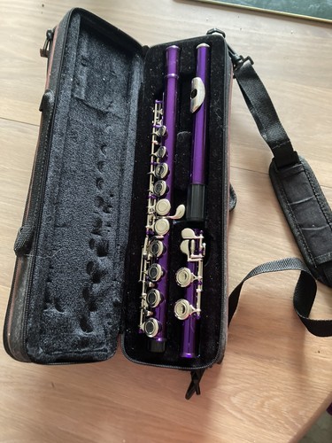 Purple musical flute 16 - purple,