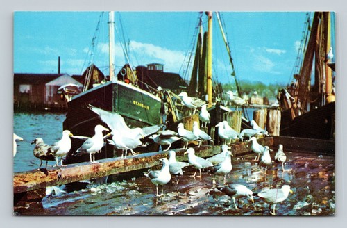 Vintage new england postcard - vintage,