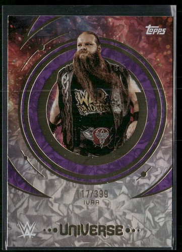 2025 topps universe wwe - 2025,