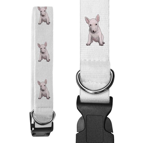 English bull terrier - 'english,
