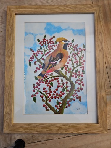 Waxwing bird painting rkb - waxwing,