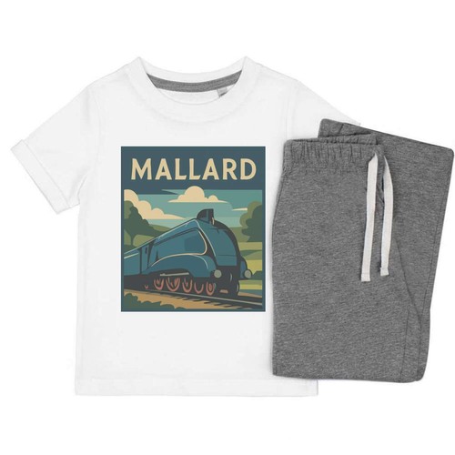 Mallard steam train kids - train',
