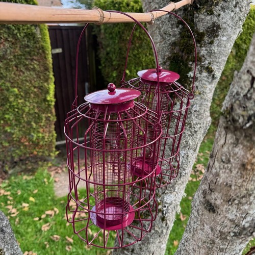 Hanging squirrel proof peanut - hanging,
