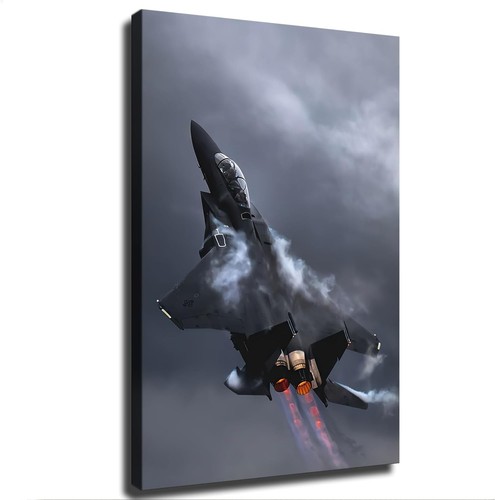 Military fighter jet - military,