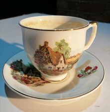 Argyle Bone China Cup & Saucer Gold Trim Country Cottage