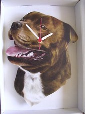 Staffy,Brown Staffordshire