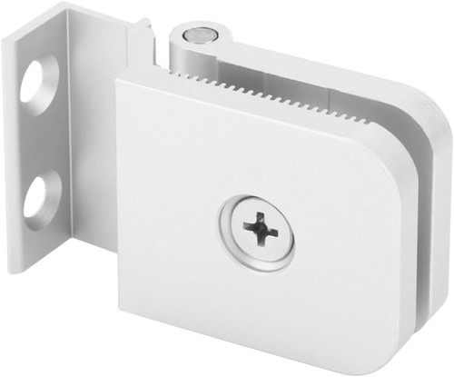 Glass shower door - glass, hinge