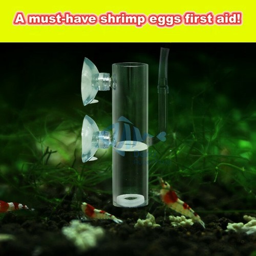 Aquarium glass egg - glass, tumbler