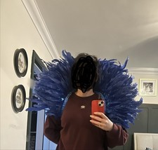 Carnival Festival Feather