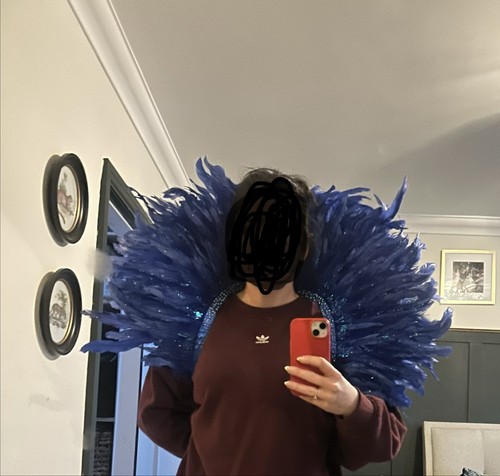 Carnival festival feather - carnival,