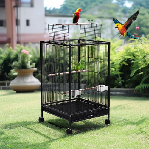Metal bird cage for - metal,