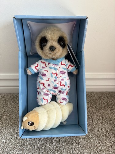 Baby oleg meerkat - baby, with