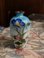 Delicate Little Ginbari