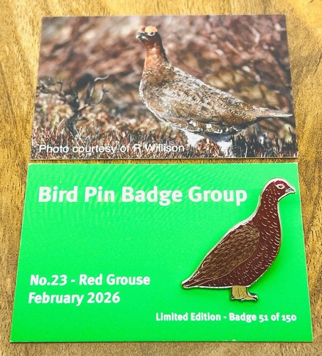 Red grouse pin - red,