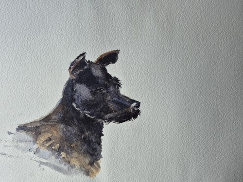 Patterdale terrier watercolour - patterdale,