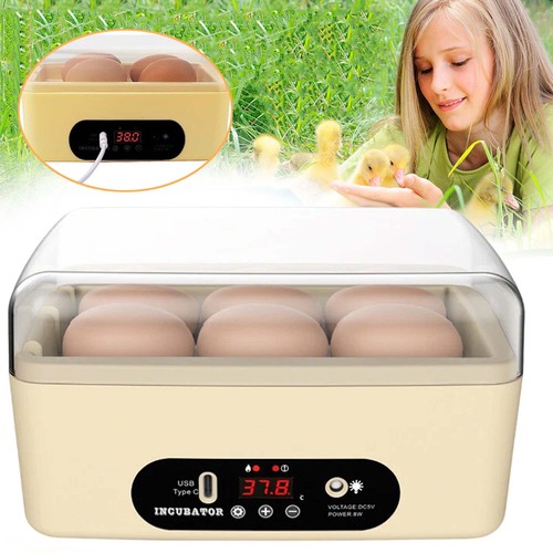 Egg incubator hatching - 6,