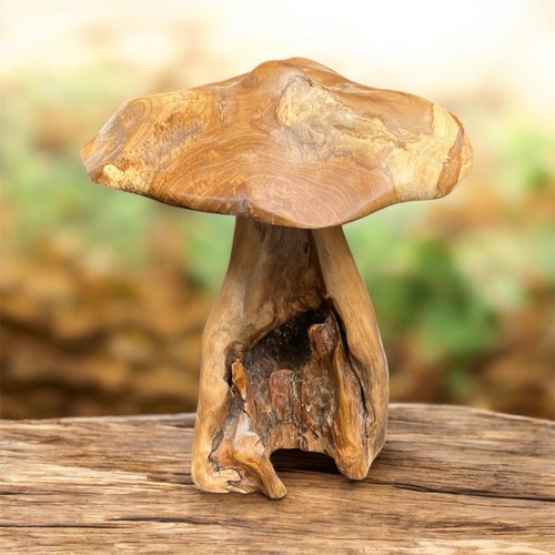 Chiselcraft large teak root - chiselcraft,