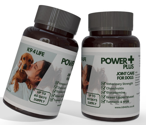 Joint care for dogs pain - care,