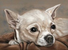 Cute Chihuahua picture Original dog wall art Chihuahua print. Size A4 UNFRAMED